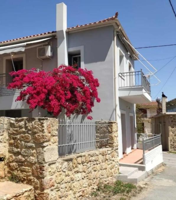 Artemis House Apartment Krokees Luaran gambar